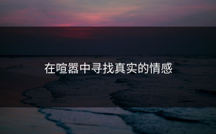在喧嚣中寻找真实的情感 在喧嚣中寻找真实的情感