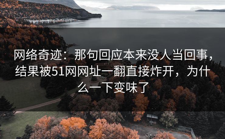 网络奇迹:那句回应本来没人当回事,结果被51网网址一翻直接炸开,为什么一下变味了 网络奇迹:那句回应本来没人当回事,结果被51网网址一翻直接炸开,为什么一下变味了